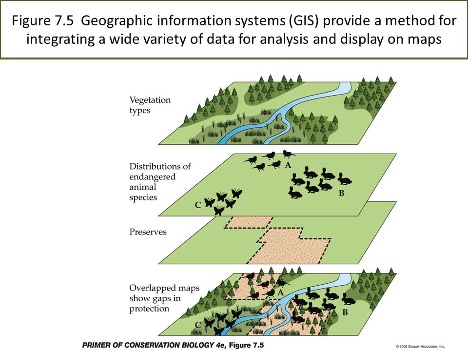 An analysis of geographic information systems gis